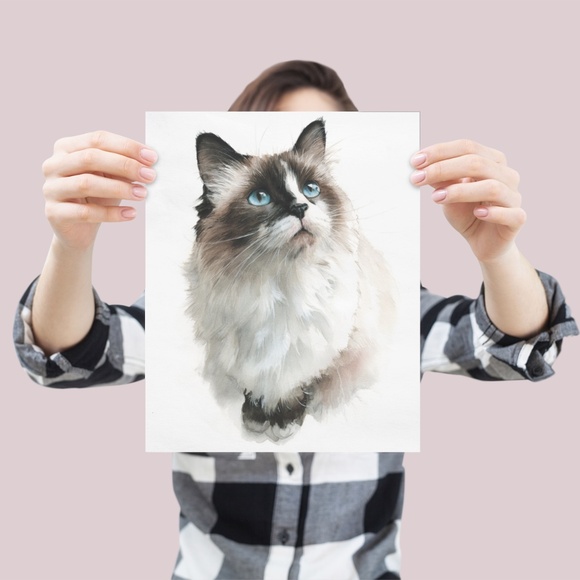 Watercolor Ragdoll Cat Wall Art Print Unframed - Picture 3 of 6